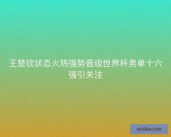 王楚钦状态火热强势晋级世界杯男单十六强引关注