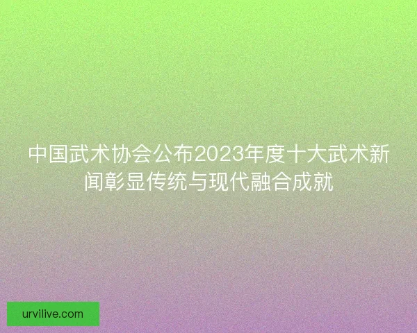 中国武术协会公布2023年度十大武术新闻彰显传统与现代融合成就